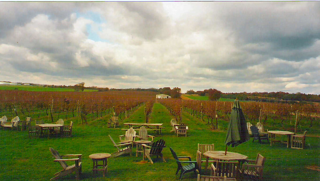 How Long Island’s Wine Industry Is Poised For Growth